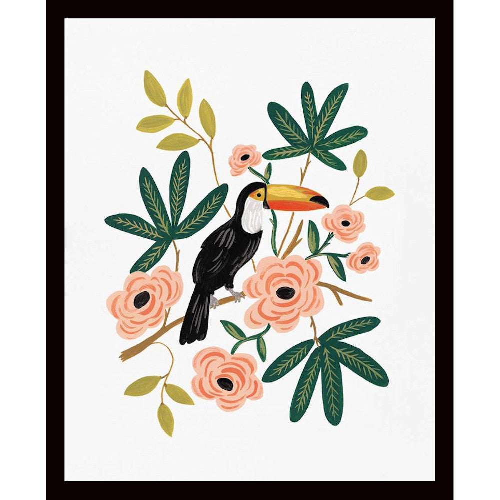 Toucan Art Print