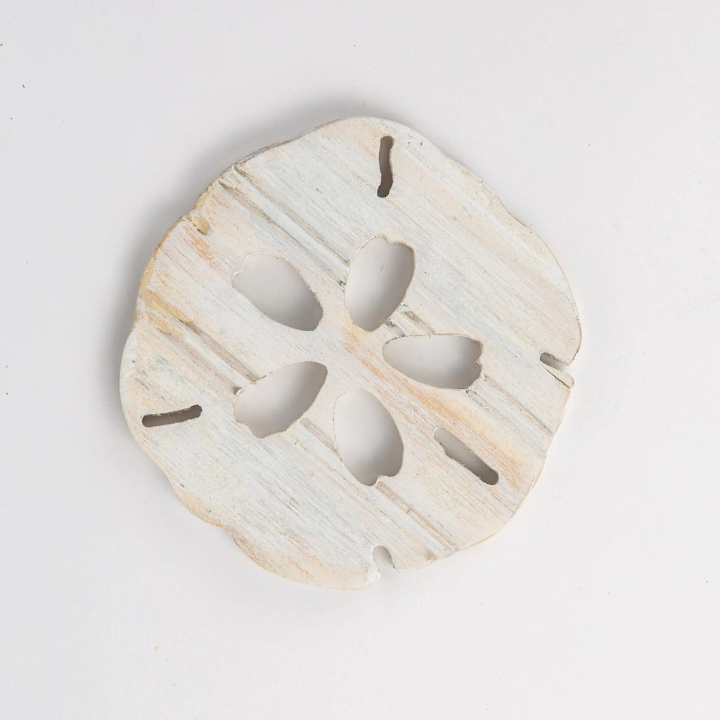 Sanddollar coasters