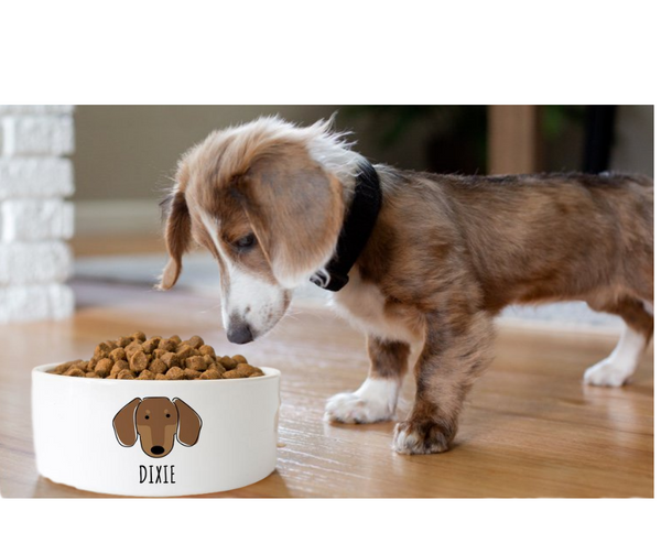 Custom Dachshund Dog Bowl