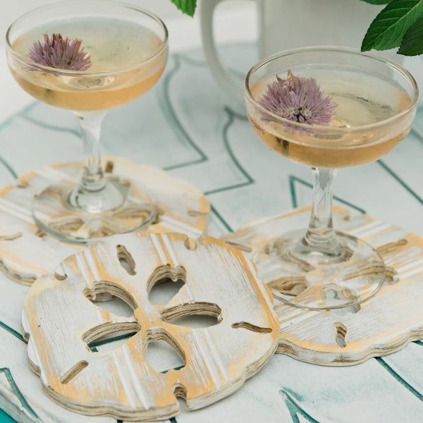 Sanddollar coasters