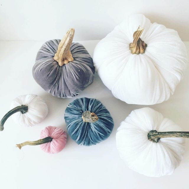 CUSTOMIZE Your own Pumpkin Patch w/Real Stems
