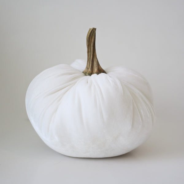 Ivory Velvet Pumpkin with Real Stem Cream
