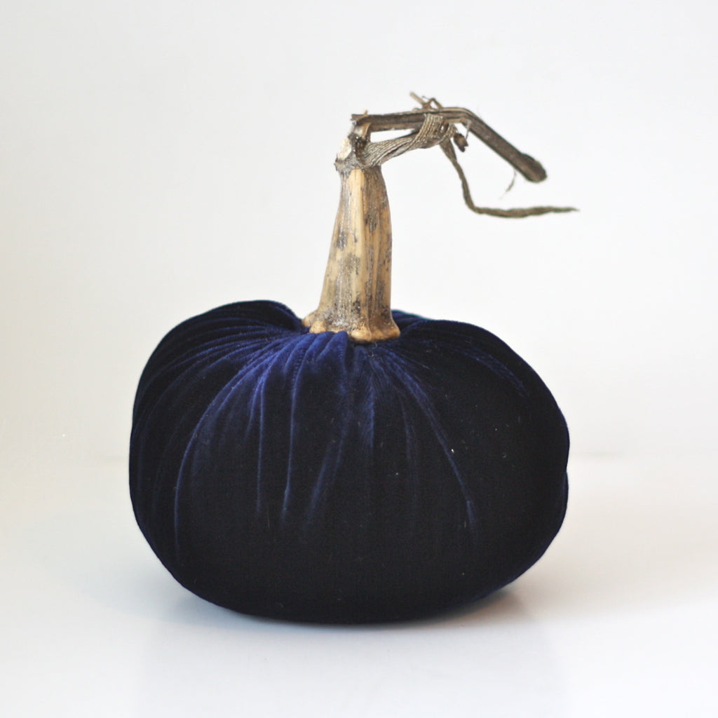 Midnight Blue Velvet Pumpkin with Real Stem