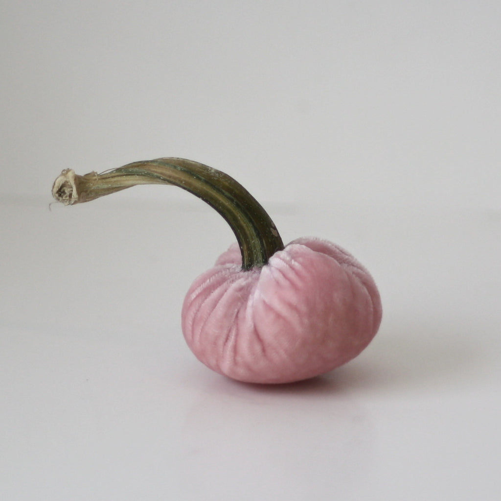 Blush Pink Velvet Pumpkin with Real Stem
