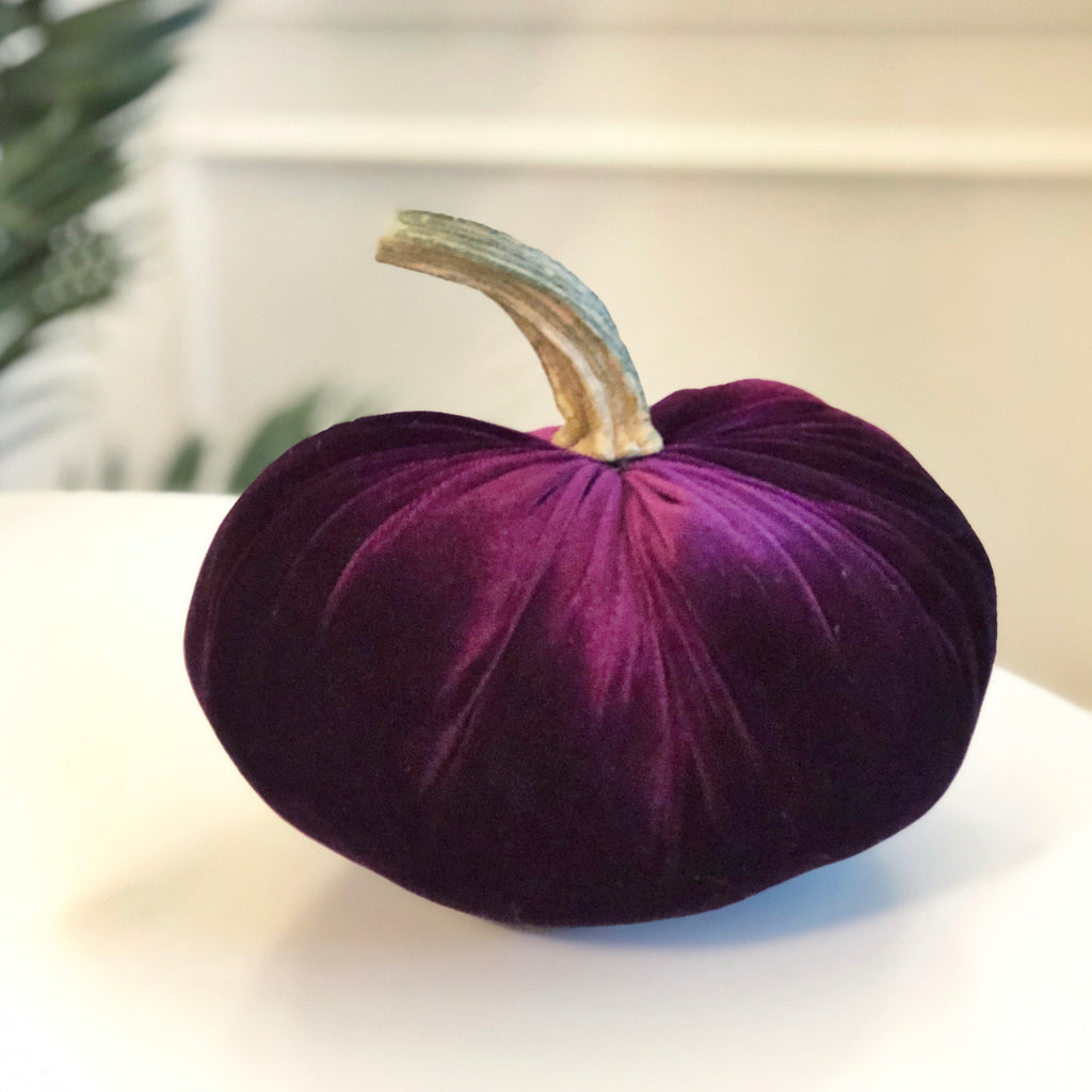 Project Purple Velvet Pumpkin with Real Stem