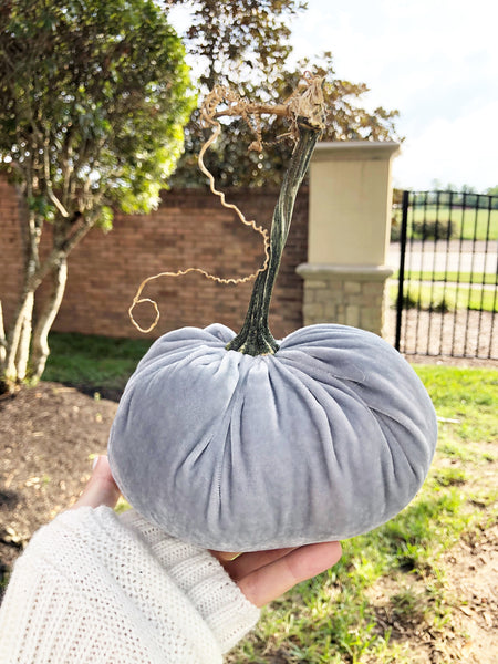 Large Gray velvet pumpkin with tendrils
