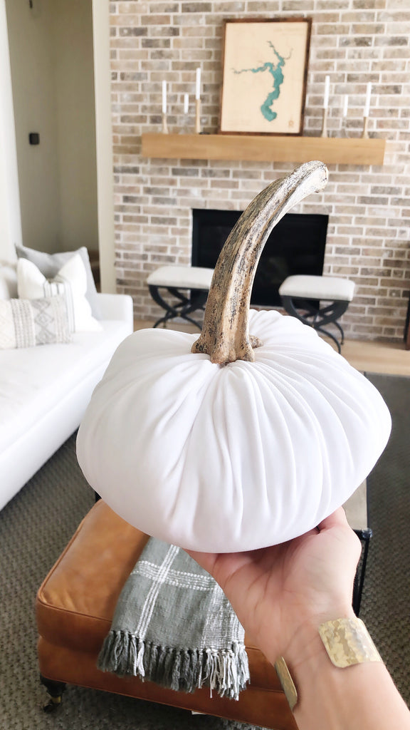 CUSTOMIZE Your own Pumpkin Patch w/Real Stems