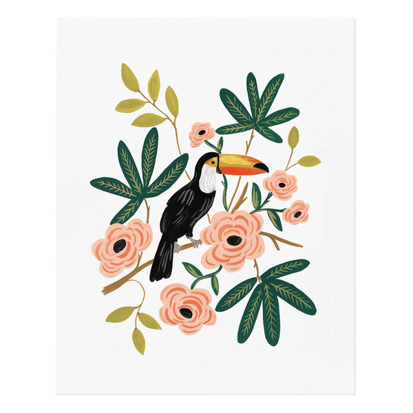 Toucan Art Print